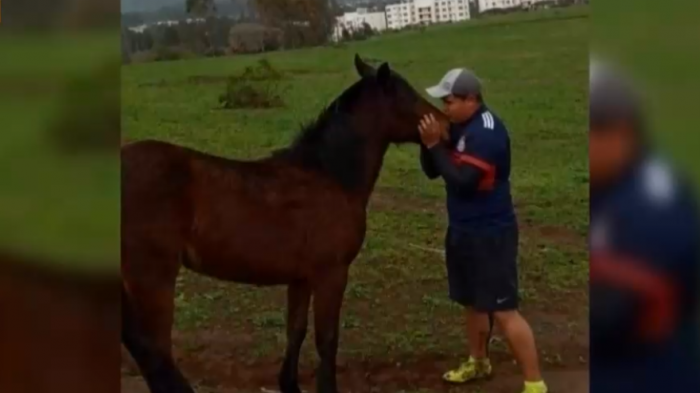Misterioso crimen de joven arriero: PDI baraja hipótesis de conflicto interno en grupo que cultiva marihuana