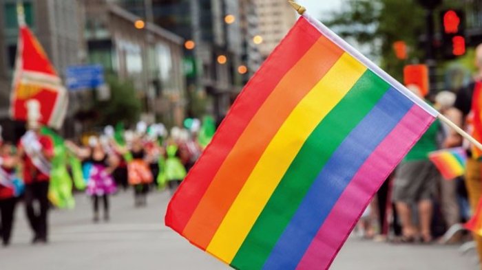 Molestia en la UDI: Gobierno puso suma urgencia al proyecto de matrimonio igualitario