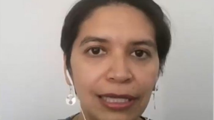 Cristina Dorador y participación de independientes en la CC: 