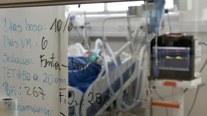 Presidenta Fenats solicita no usar el Pase de Movilidad: 