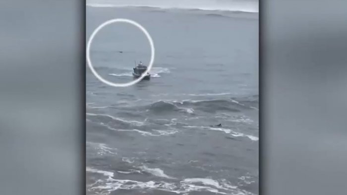 Surfistas fueron rescatados en Concón: Estaban mar adentro a pesar de alerta por marejadas