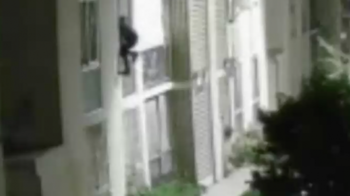 Denuncian abandono: Vecinos de Peñalolén superados por la delincuencia se organizaron con rondas nocturnas