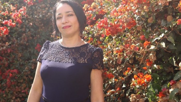 Región de Coquimbo: Naranjo (IND) se transformó en gobernadora tras derrotar a Sulantay (UDI)