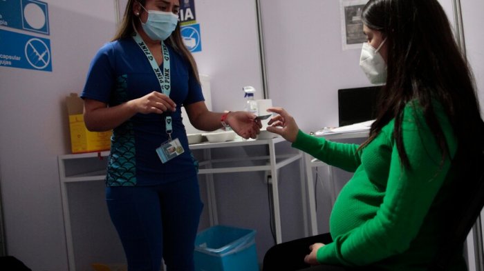 Minsal llamó a embarazadas 