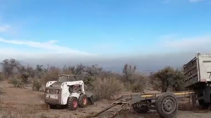 Descartan daño ambiental: Polémica por maquinaria en bosque nativo El Panul