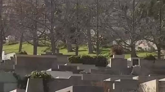 Trabajadores de cementerio denuncian robo de piezas dentales y objetos de valor de los cadáveres