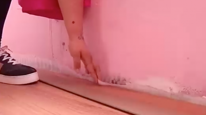 Grietas, hongos y plagas: Vecinos protestan por graves daños en viviendas sociales de Placilla