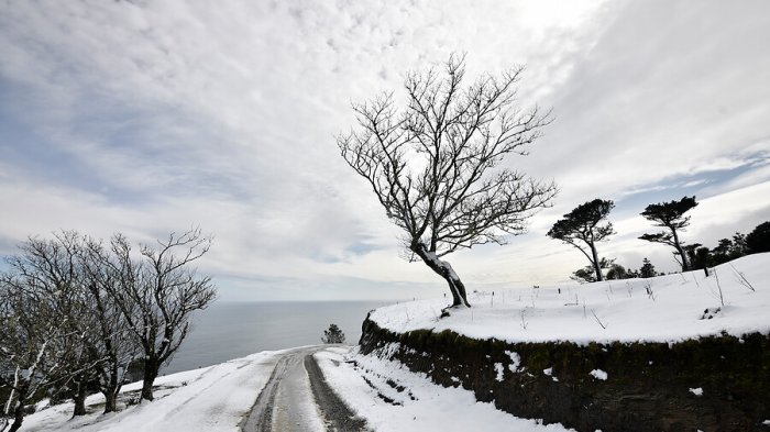 Nieve, lluvias y vientos: Decretan Alerta Temprana Preventiva para la Patagonia