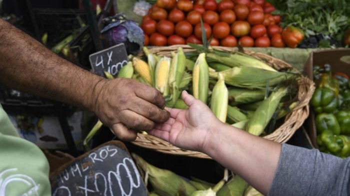 SII amplía plazo para que feriantes puedan acceder al Bono Alivio