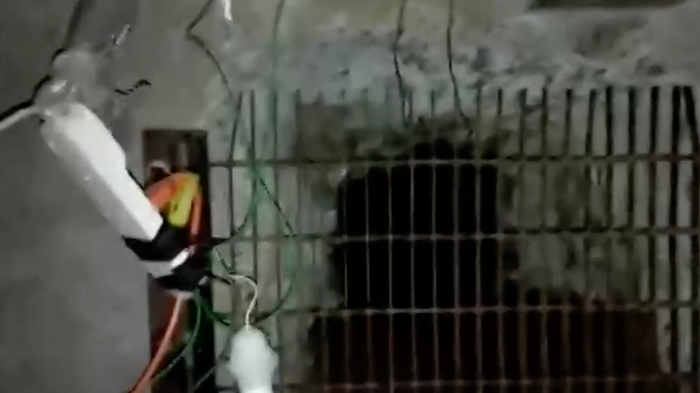 Robo cinematográfico a joyería: Excavaron extenso túnel y sustrajeron casi $400 millones