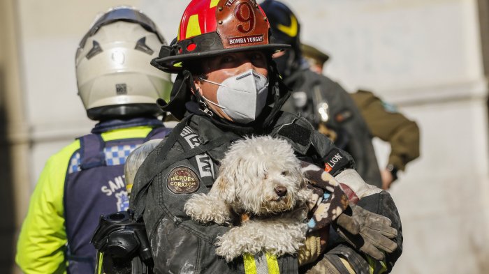 Cadem: Bomberos es percibida como la institución más confiable de Chile con un 98% de aprobación