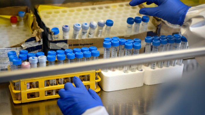 Confirman cinco nuevos casos de la variante Delta en el país