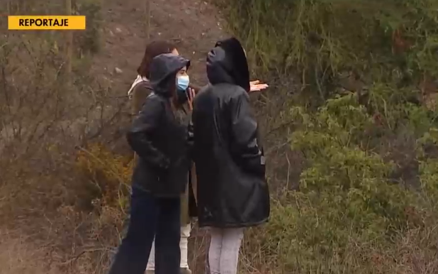 Vecinos de Las Gaviotas denuncian extracción ilegal de áridos impactando en la flora y fauna de la zona