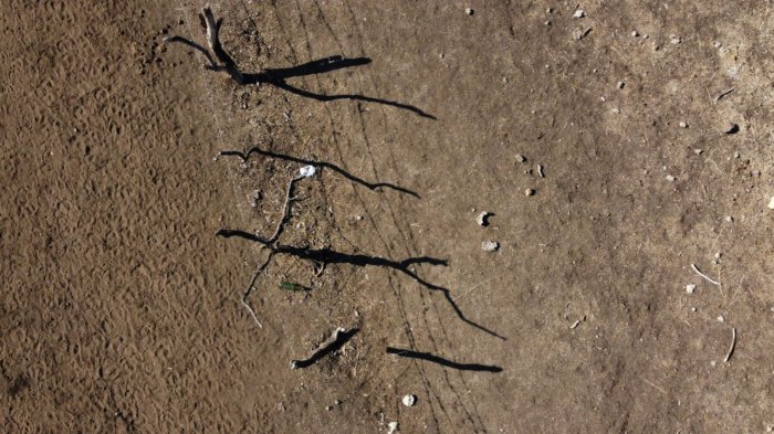 ¿Qué pasará en el verano? Escasez hídrica rige en 104 comunas del país