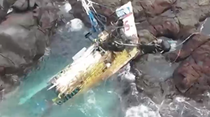 Comiendo huevos de aves: Así sobrevivieron los pescadores náufragos en islote de Coquimbo