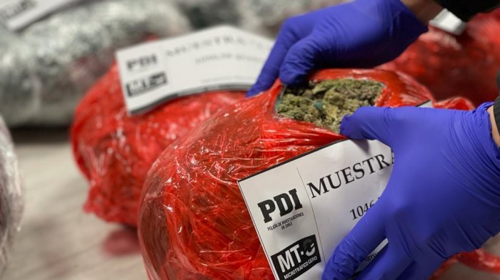 Detectives del MT-0 de la PDI incautaron más de 70 mil dosis de marihuana en La Reina y La Florida