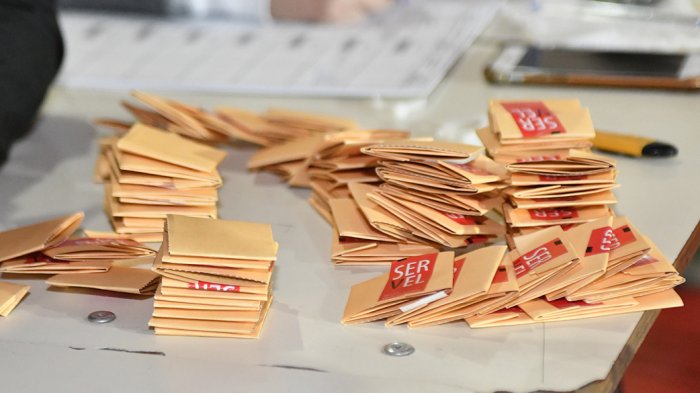 Primarias presidenciales, horarios y locales: Lo que debes saber para este domingo