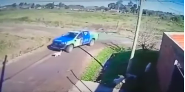 Tras difusión de video: Denuncian a policías por perseguir y atropellar a un perro