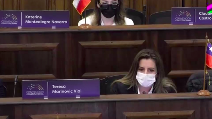 Polémica por tweet de Marinovic: Criticó a la machi Linconao por hablar en mapudungún y acusaron racismo