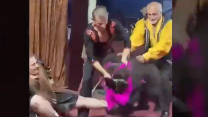 Terror en el circo: Oso pardo atacó a su entren adora ante la mirada atónita del público