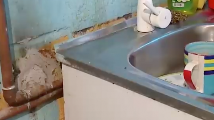 Reparaban su baño: Problemas en mejoras de vivienda por subsidio provocó inundaciones en su casa