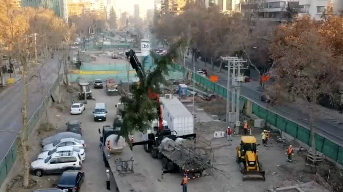 Tras dos años en viveros: 500 árboles retornan al Parque Vespucio