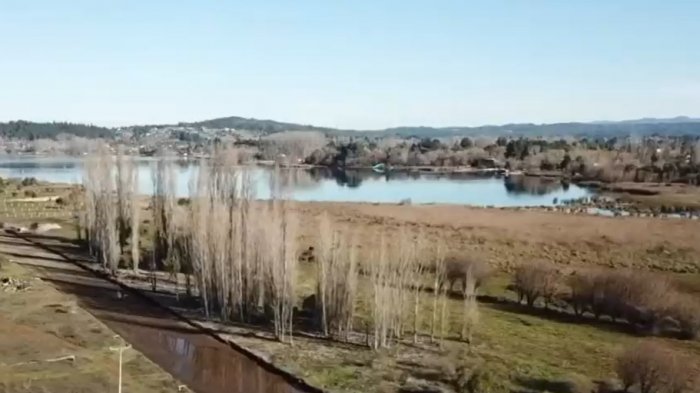 Denuncian que empresa inmobiliaria pondría en riesgo humedal urbano en Quillón