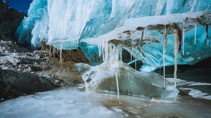 Identifican virus de unos 15 mil años de antiguedad en un glaciar tibetano
