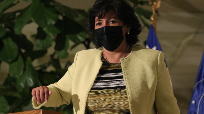 La carta que enviaron diputados UDI para investigar a Provoste por eventual 