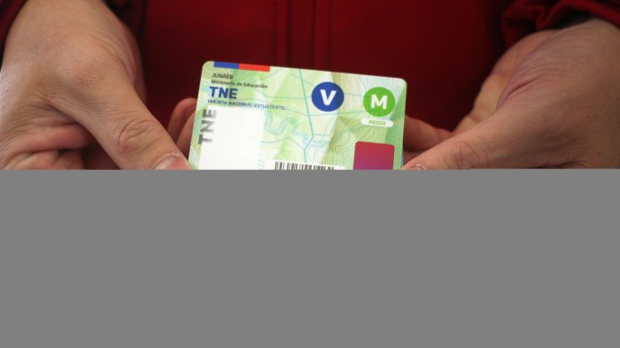 El 31 de julio se cumple el plazo para revalidar la TNE: Mira aquí cómo realizar el trámite