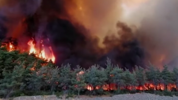 Al menos 4 muertos a causa de los incendios forestales en Turquía