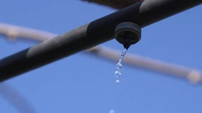 Polémico subsidio a grandes empresas: Reciben millonarios aportes del Estado para proyectos de riego