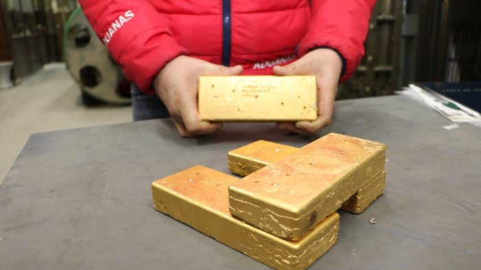 Una barra de oro, un fuselaje de avión y 30 autos: Así será la segunda Subasta Electrónica de Aduanas