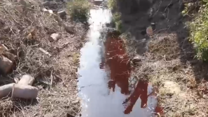 Vecinos de Lonquén denuncian contaminación del ducto Santa Marta: Aseguran que animales han muerto por beber agua