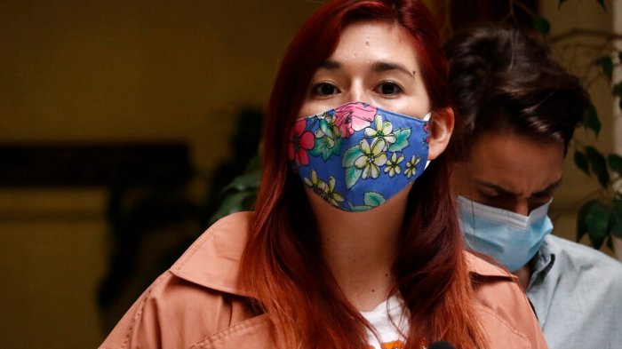 Diputada Pérez pide al Gobierno poner urgencia a proyecto que quita exclusividad penal al SII en delitos tributarios