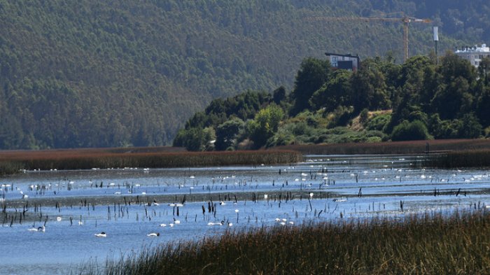 Desafiando al rito, destruyendo mitos: El agua de los ríos no se pierde en el mar