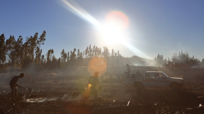 “Código rojo para la humanidad”: Saltamos AHORA o corremos la suerte de la rana hervida