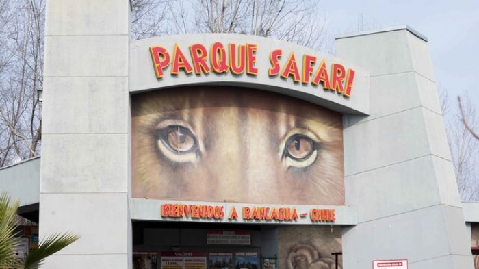Suspenden indefinidamente el Parque Safari tras muerte de trabajadora atacada por un tigre