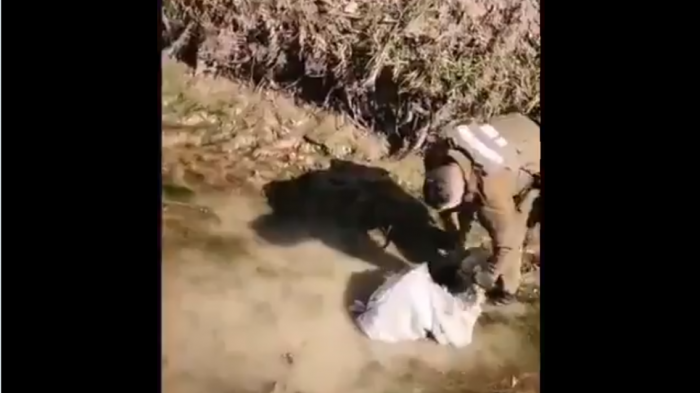 Perro fue arrojado dentro de un saco a un canal de regadío: Así fue su rescate