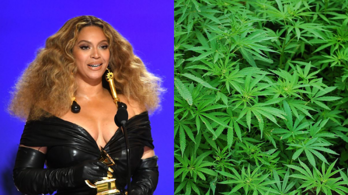 ¿Can you pay my bills? Beyoncé está construyendo su propia granja de marihuana
