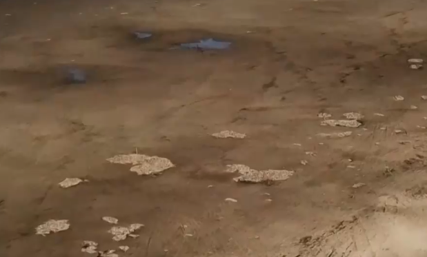 Paraná, el segundo río más largo de Sudamérica se encuentra seco y personas lo cruzan a pie