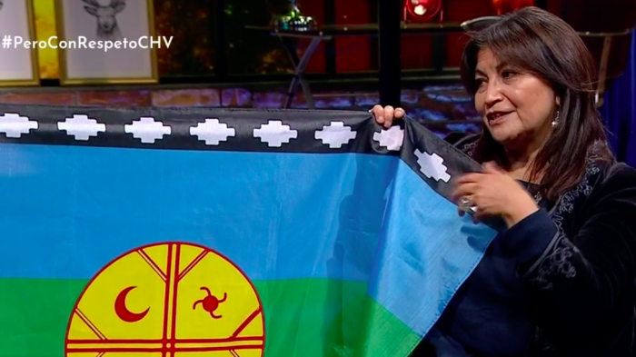 Elisa Loncón participó en la creación de la bandera mapuche: 