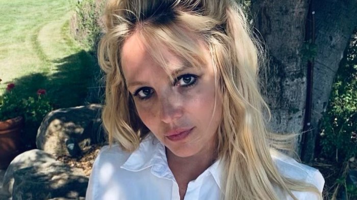 #FreeBritney: La celebración en las redes sociales por renuncia del padre a la tutela de la cantante