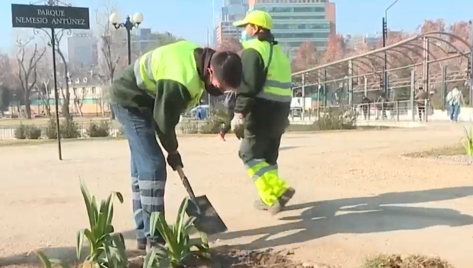 Medidas frente a la crisis climática: Providencia cambiará 36 mil metros cuadrados de pasto por plantas