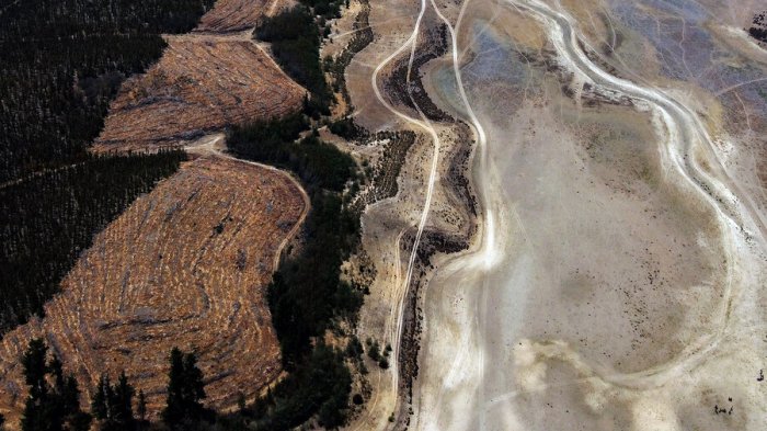 Manuel Baquedano, ecologista: “Debemos aprender a vivir mejor con menos”