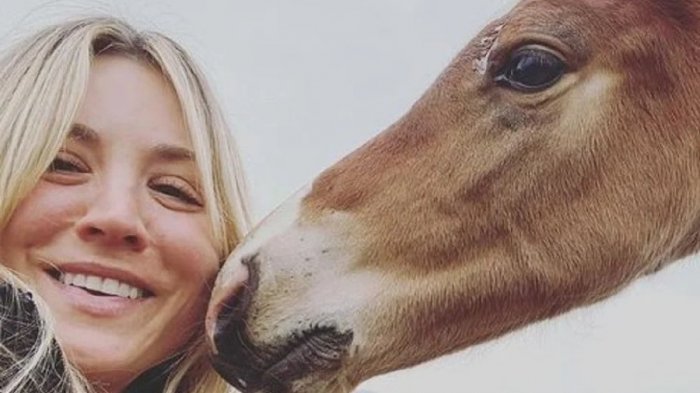 Kaley Cuoco quiere comprar el caballo maltratado en Tokio 2020: 