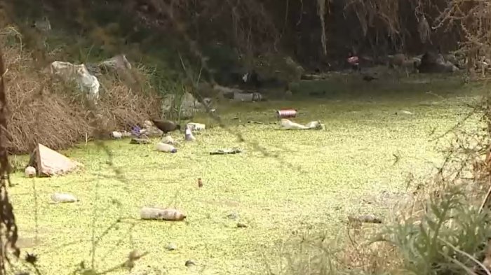 Vecinos denuncian que el humedal de Batuco se está convirtiendo en un basural