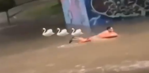 Hasta con flotador: Hombre fue captado nadando por las calles de Rancagua