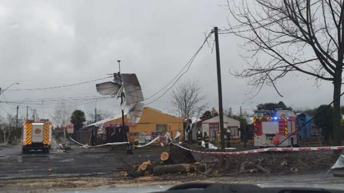 Reportan tornado en Tucapel: 30 casas afectadas, árboles arrancados y personas en shock