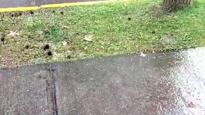 Los registros que dejó la caída de granizos en diferentes comunas de la Región Metropolitana